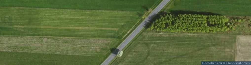 Zdjęcie satelitarne Wolborska ul.