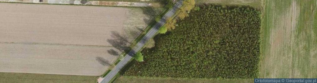 Zdjęcie satelitarne Wolborska ul.