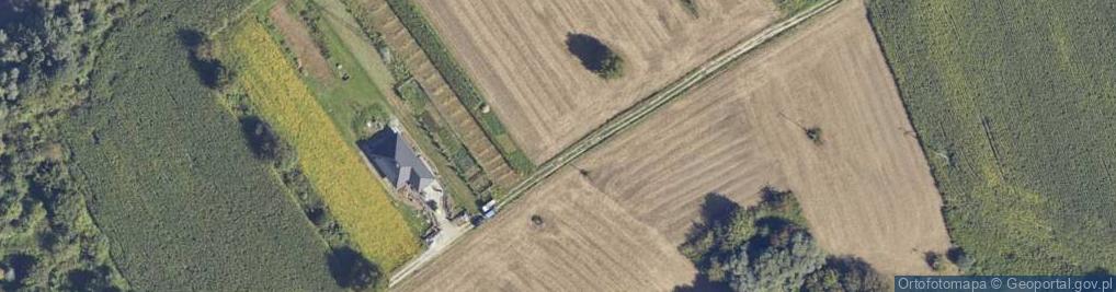 Zdjęcie satelitarne Wola ul.