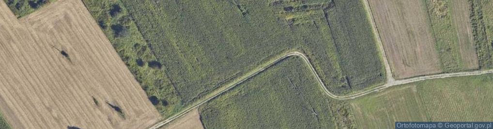 Zdjęcie satelitarne Wola ul.