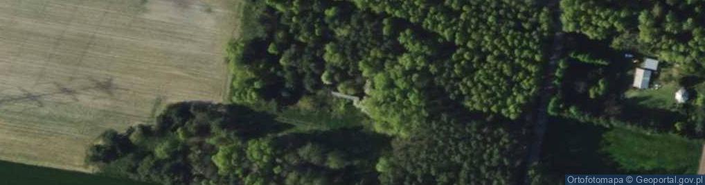 Zdjęcie satelitarne Wodzińska ul.