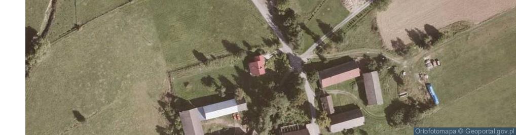 Zdjęcie satelitarne Wojbórz ul.