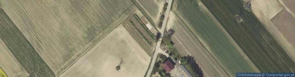 Zdjęcie satelitarne Wojciechów-Kolonia Piąta ul.