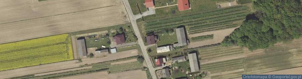 Zdjęcie satelitarne Wojciechów-Kolonia Pierwsza ul.