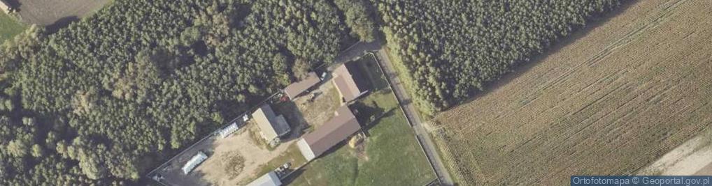 Zdjęcie satelitarne Wojciechowo ul.