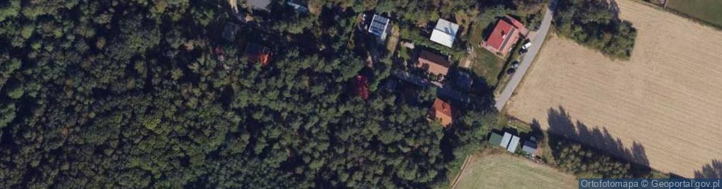 Zdjęcie satelitarne Wójcin ul.