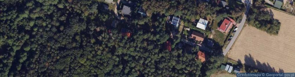 Zdjęcie satelitarne Wójcin ul.