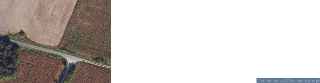Zdjęcie satelitarne Wójcin ul.