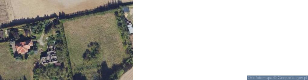Zdjęcie satelitarne Wójcin ul.