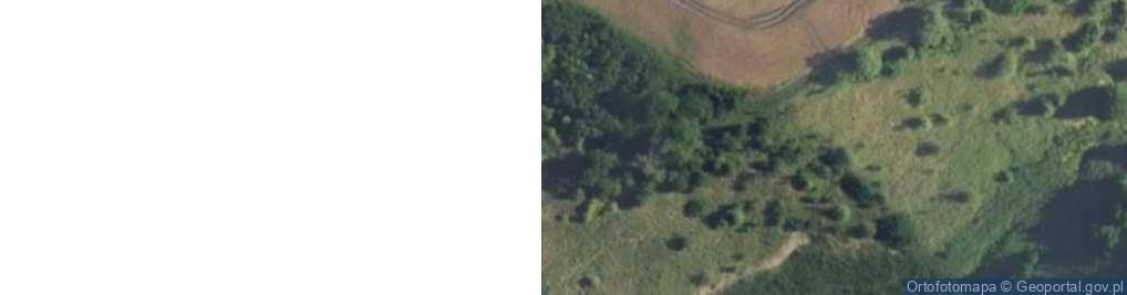 Zdjęcie satelitarne Wojkowo ul.