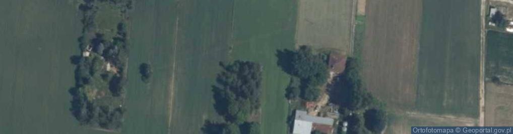 Zdjęcie satelitarne Wojnów ul.