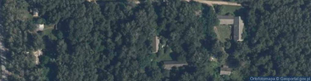 Zdjęcie satelitarne Wojnów ul.