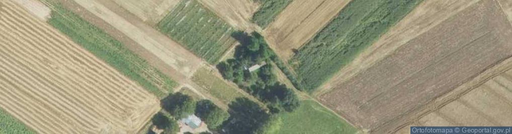 Zdjęcie satelitarne Wojsławice ul.