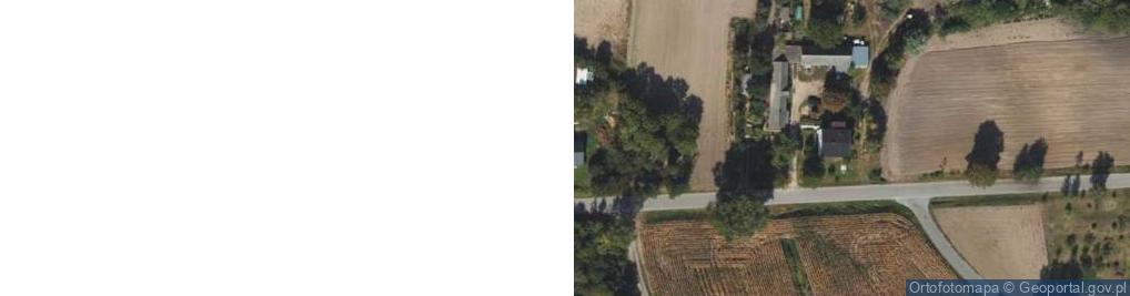 Zdjęcie satelitarne Wola Adamowa ul.