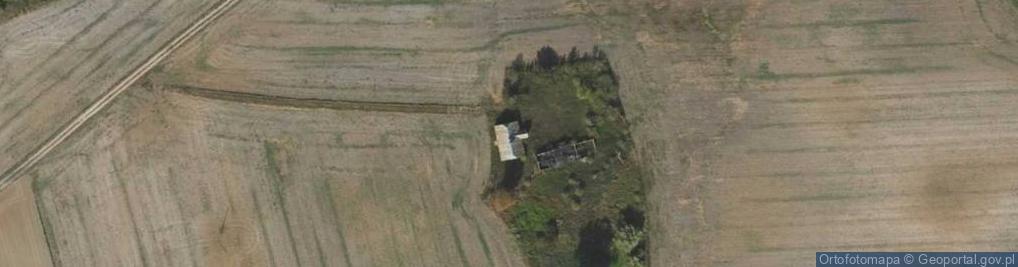 Zdjęcie satelitarne Wola Adamowa ul.