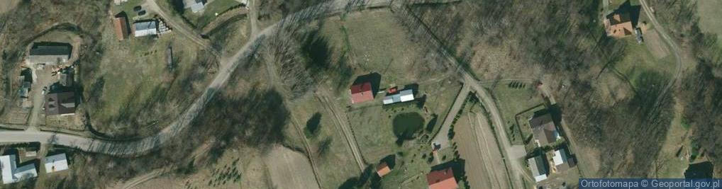 Zdjęcie satelitarne Wola Brzostecka ul.