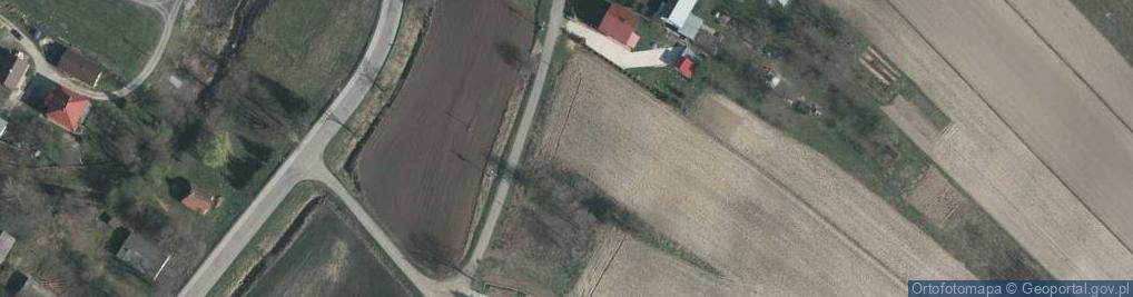 Zdjęcie satelitarne Wola Buchowska ul.