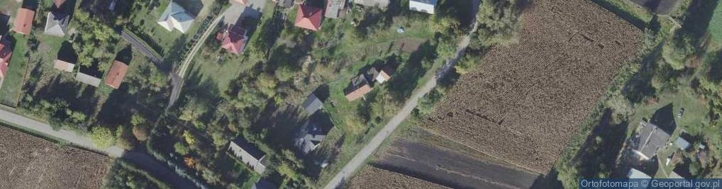 Zdjęcie satelitarne Wola Buchowska ul.