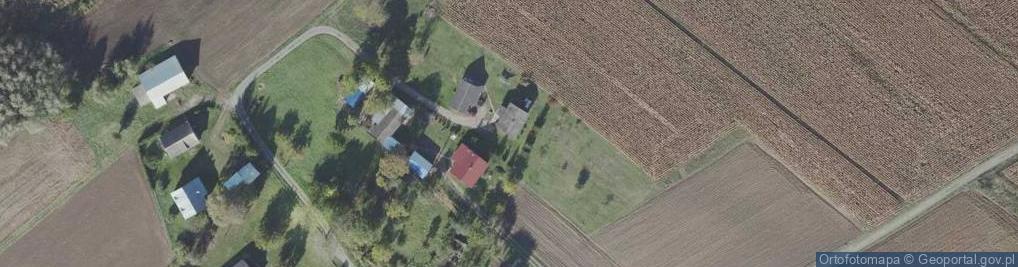 Zdjęcie satelitarne Wola Buchowska ul.