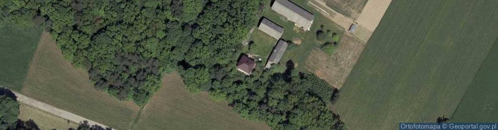 Zdjęcie satelitarne Wola Gałęzowska ul.