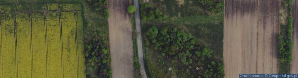 Zdjęcie satelitarne Wola Hankowska ul.