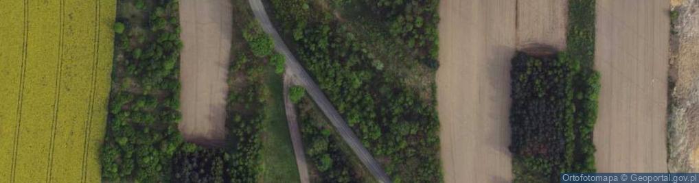 Zdjęcie satelitarne Wola Hankowska ul.