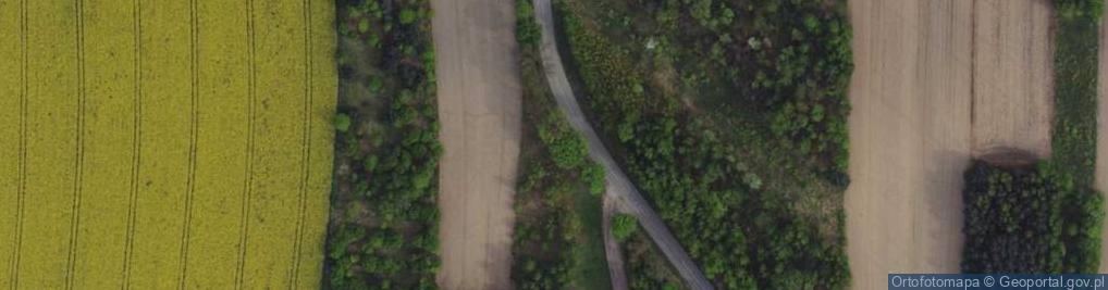 Zdjęcie satelitarne Wola Hankowska ul.