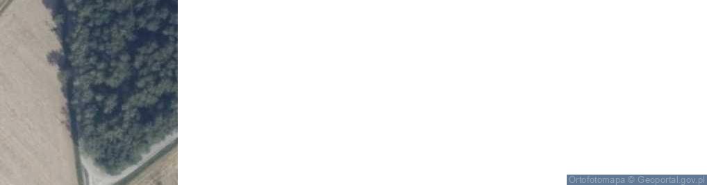 Zdjęcie satelitarne Wola Miastkowska ul.