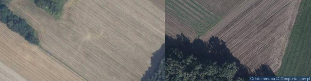 Zdjęcie satelitarne Wola Miastkowska ul.