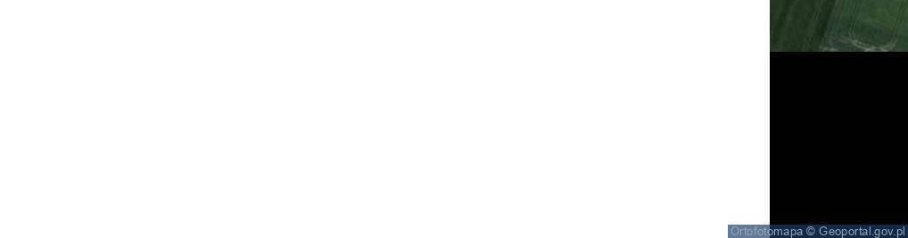 Zdjęcie satelitarne Wola Nowska ul.