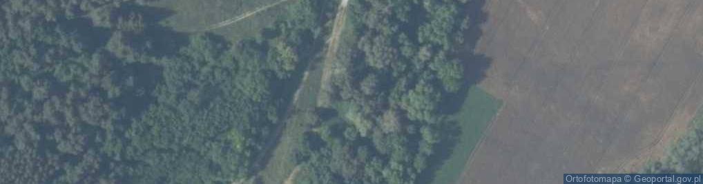 Zdjęcie satelitarne Wola Pawłowska ul.