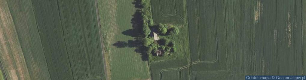 Zdjęcie satelitarne Wola Piasecka ul.