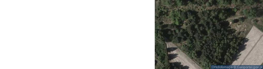 Zdjęcie satelitarne Wola Rzeczycka ul.