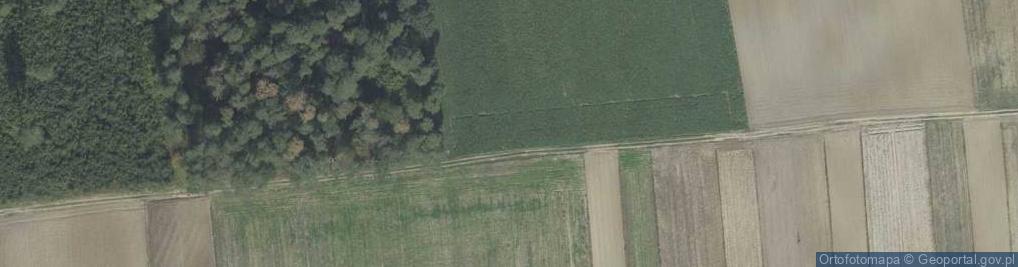 Zdjęcie satelitarne Wola Uchańska ul.