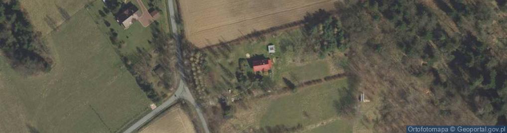 Zdjęcie satelitarne Wola Wieruszycka ul.