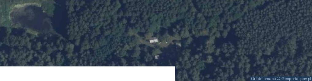 Zdjęcie satelitarne Wola Wodyńska ul.