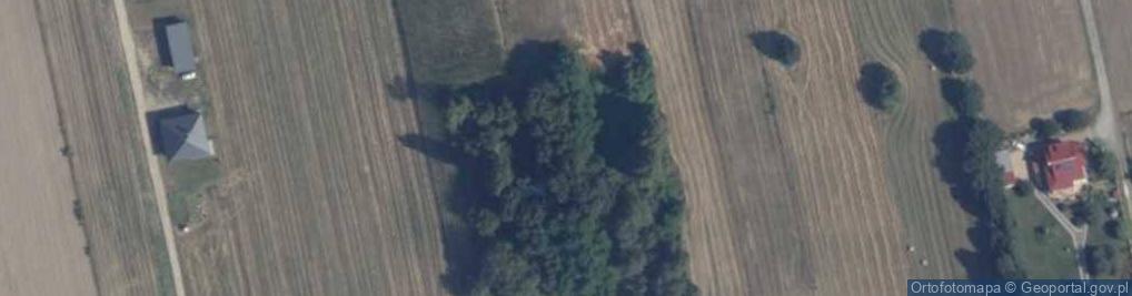 Zdjęcie satelitarne Wola Wodyńska ul.