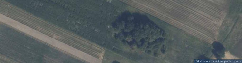 Zdjęcie satelitarne Wola Żelechowska ul.