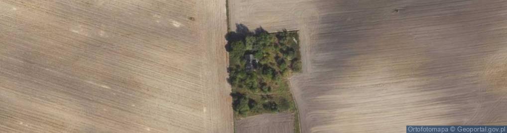 Zdjęcie satelitarne Wolęcin ul.