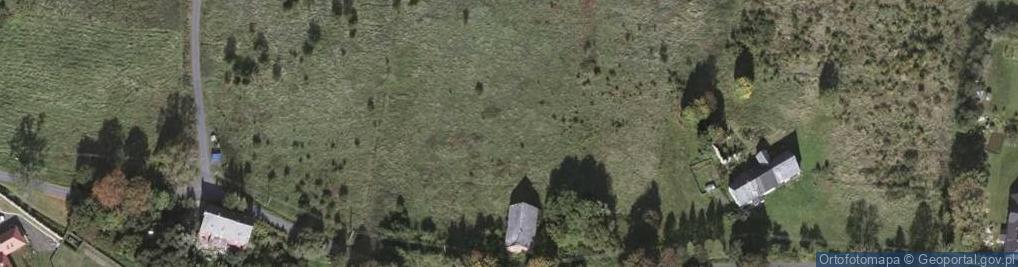 Zdjęcie satelitarne Wolimierz ul.