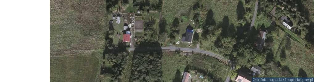 Zdjęcie satelitarne Wolimierz ul.