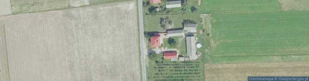 Zdjęcie satelitarne Wólka Bałtowska-Kolonia ul.