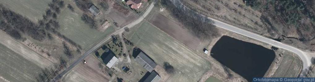Zdjęcie satelitarne Wólka Czarnogłowska ul.