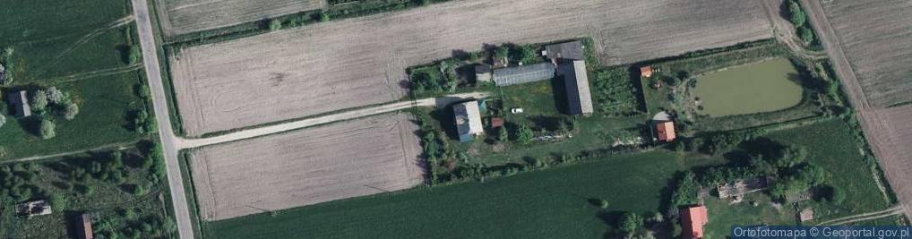 Zdjęcie satelitarne Wólka Kościeniewicka ul.