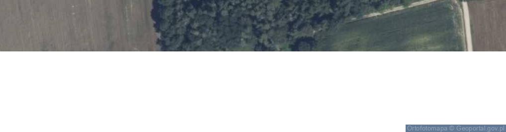 Zdjęcie satelitarne Wólka Łysowska ul.