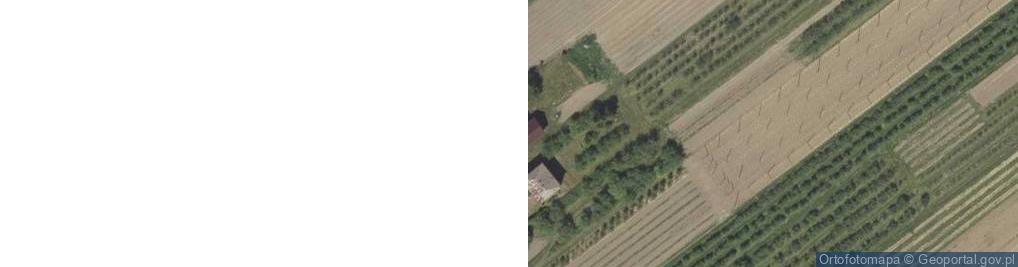 Zdjęcie satelitarne Wólka Polanowska ul.