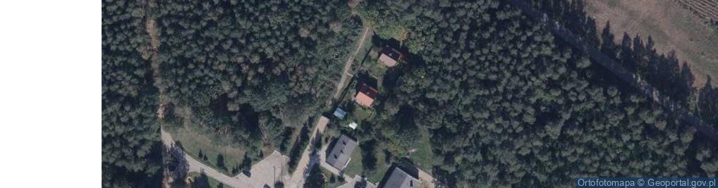 Zdjęcie satelitarne Wólka Zastawska ul.