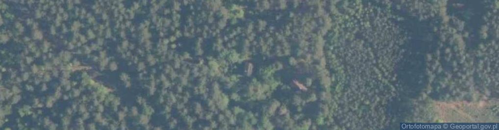 Zdjęcie satelitarne Wołów ul.