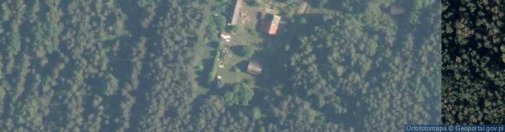 Zdjęcie satelitarne Wołów ul.