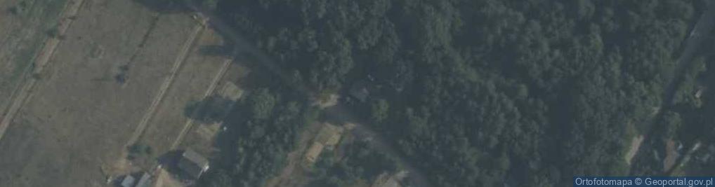 Zdjęcie satelitarne Wołucza ul.